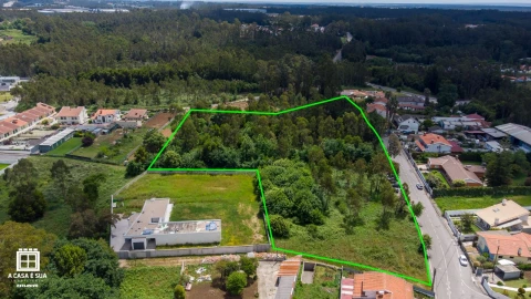 Terreno P/ Prédio para Venda em Zona Industrial de Rio Meão