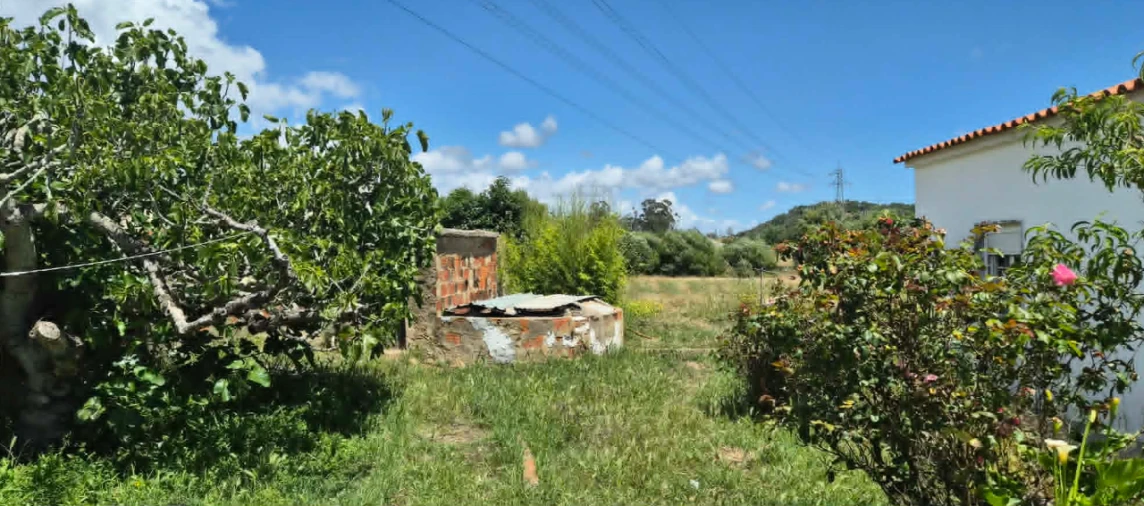 Quinta T4 para Venda em Tunes Foto 10