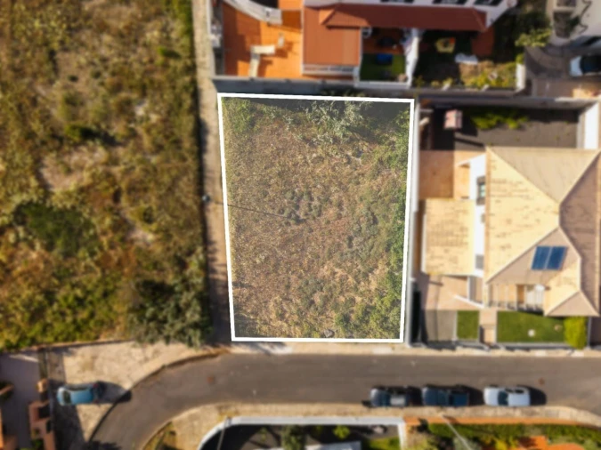 Terreno P/ Prédio para Venda em Porto Santo Foto 13