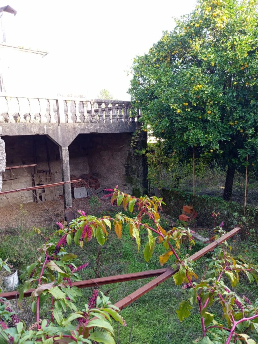Moradia T1 para Venda em Nelas Foto 26