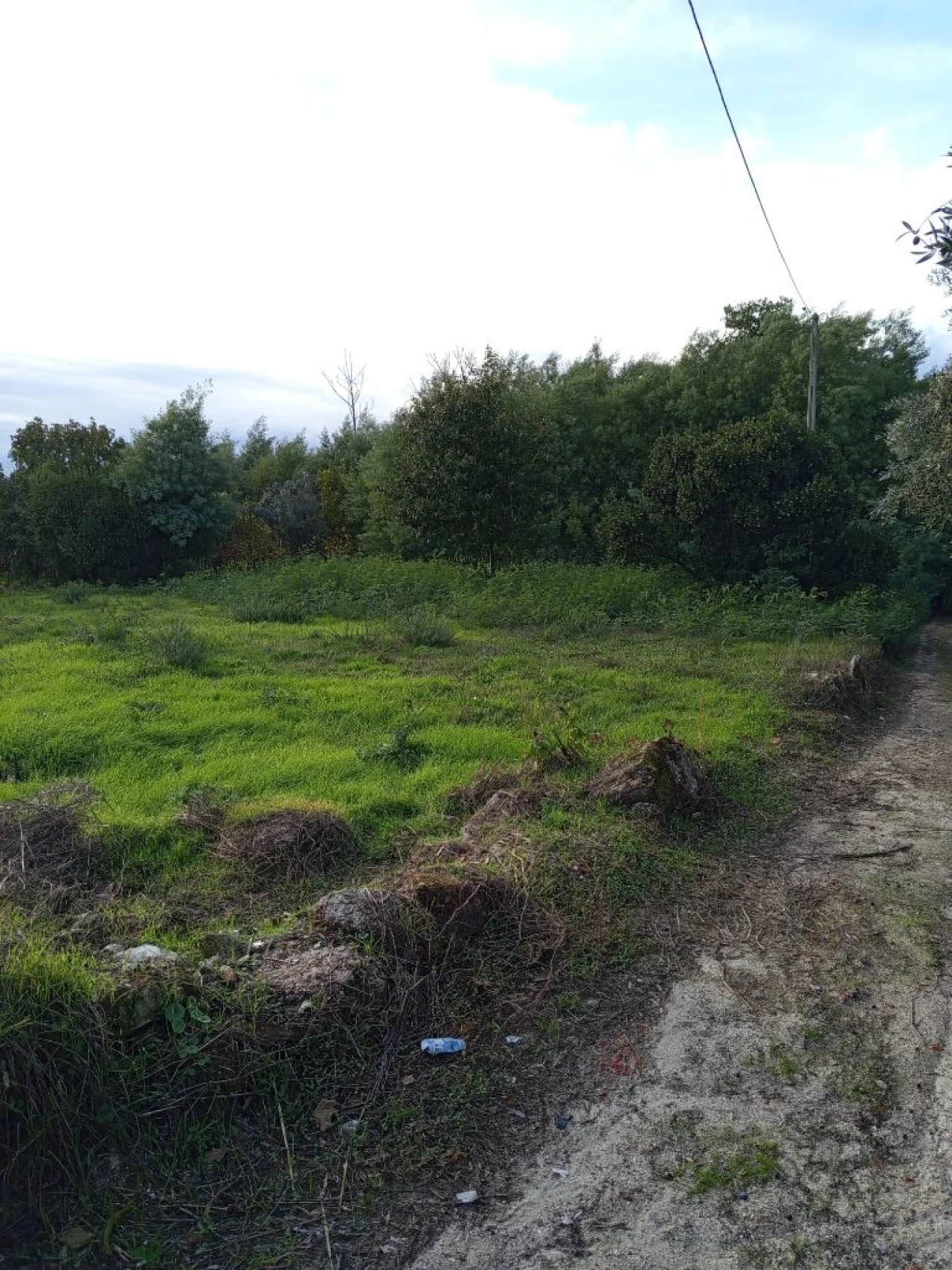Terreno para Venda em Nelas Foto 3