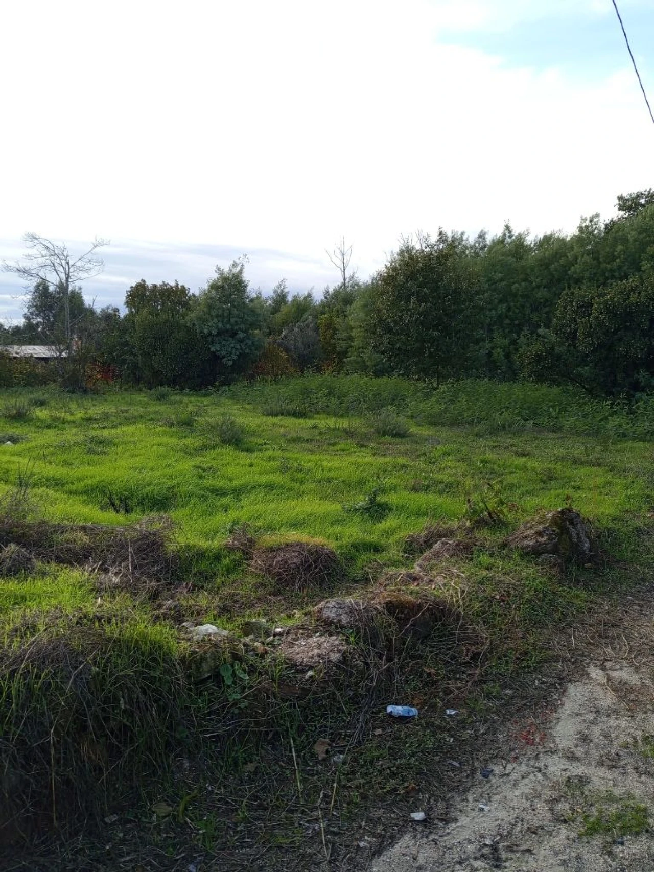Terreno para Venda em Nelas Foto 4