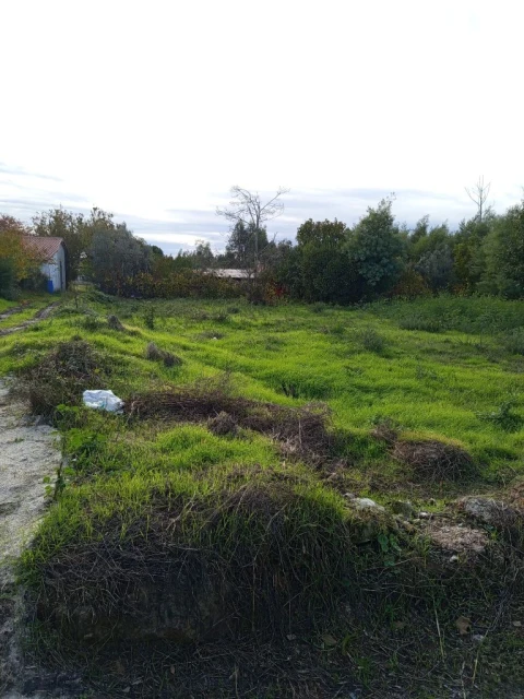 Terreno para Venda em Nelas
