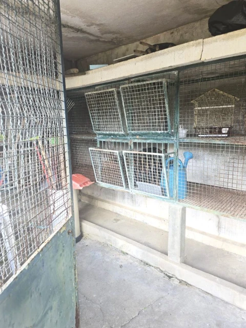Moradia T5 para Venda em Caneças