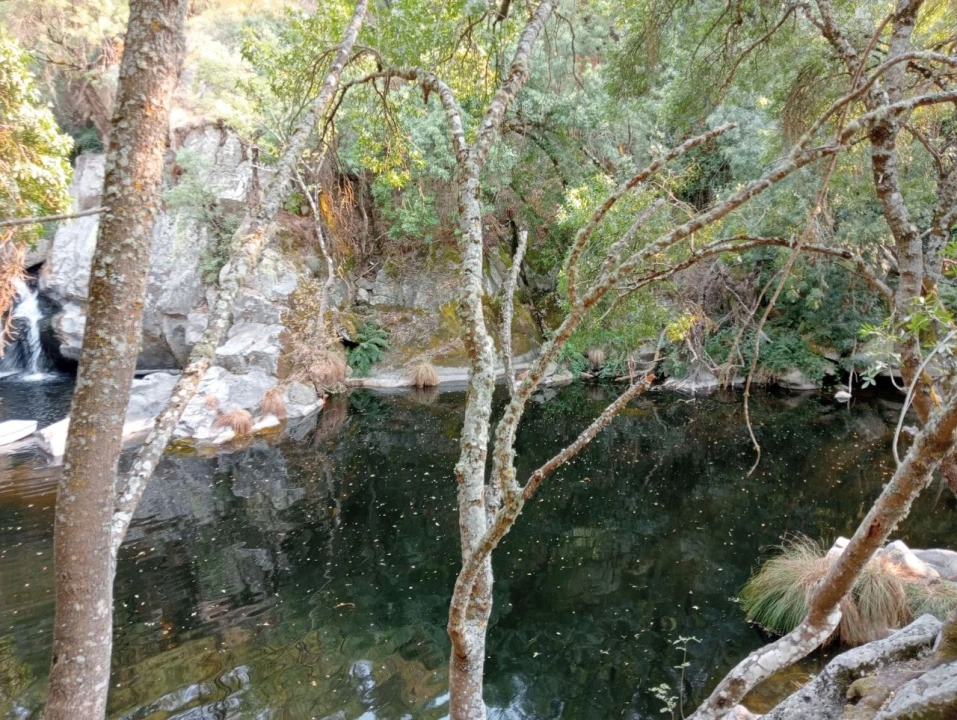 Terreno Misto para Venda em Várzea de Abrunhais Foto 1
