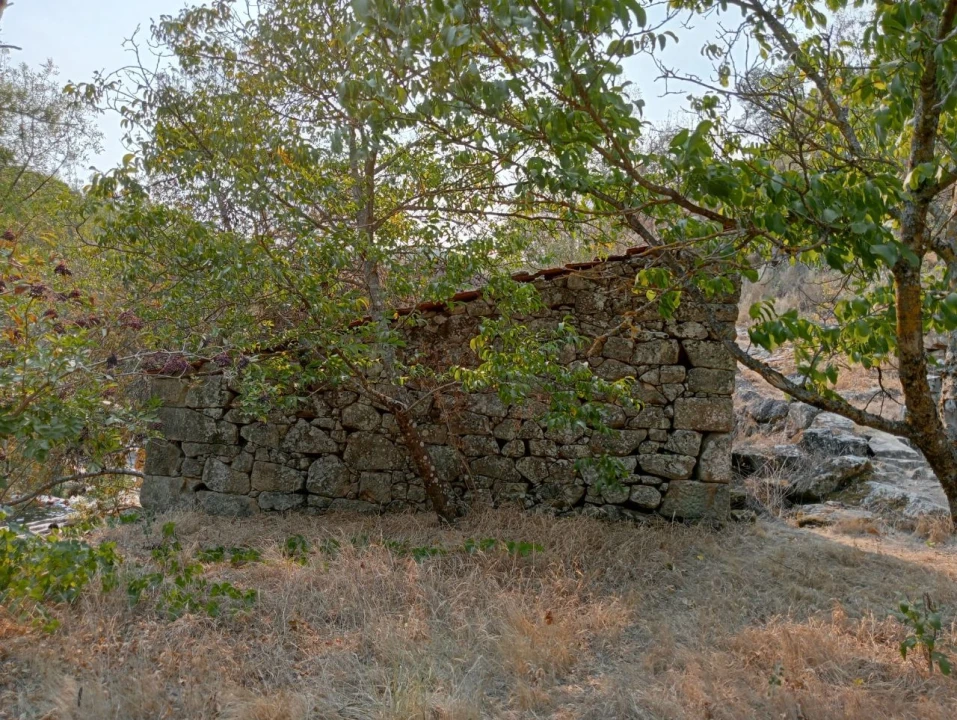 Terreno Misto para Venda em Várzea de Abrunhais Foto 3