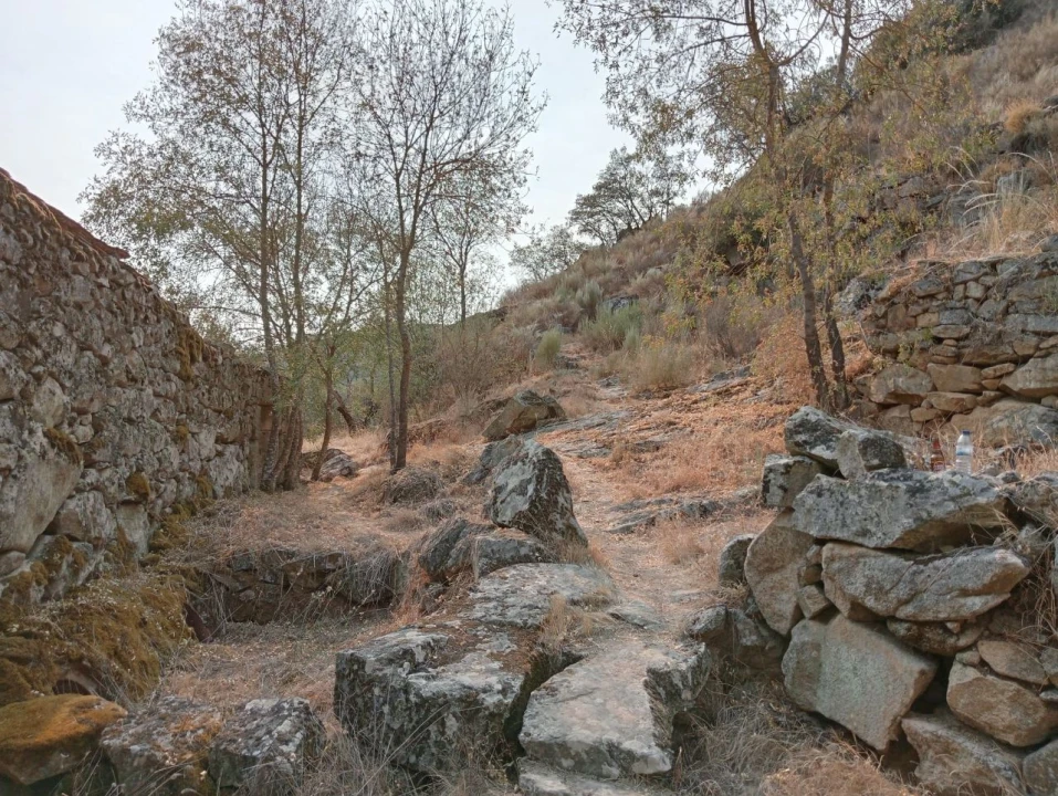 Terreno Misto para Venda em Várzea de Abrunhais Foto 4