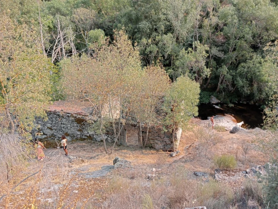 Terreno Misto para Venda em Várzea de Abrunhais Foto 6