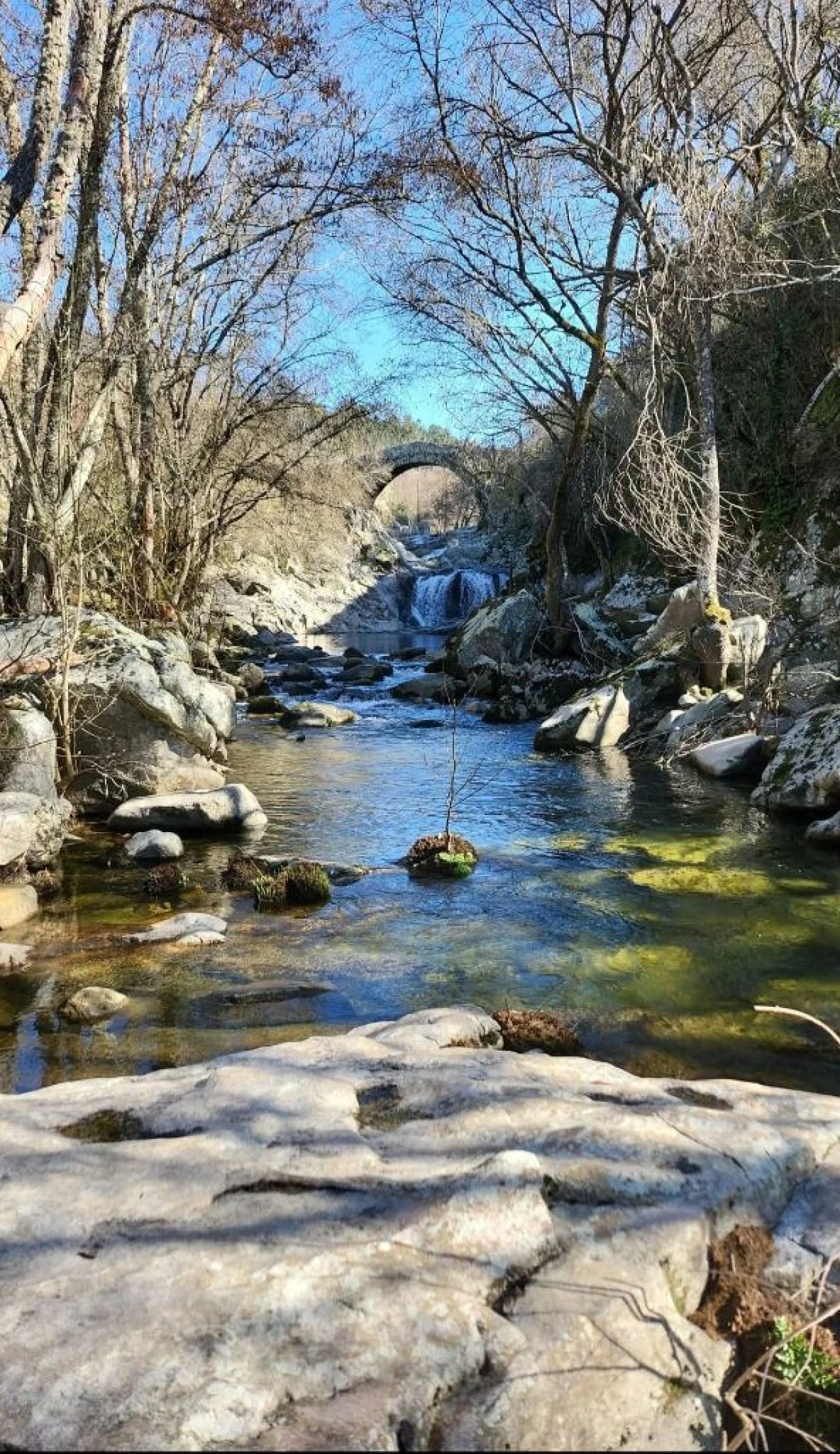 Terreno Misto para Venda em Várzea de Abrunhais Foto 12