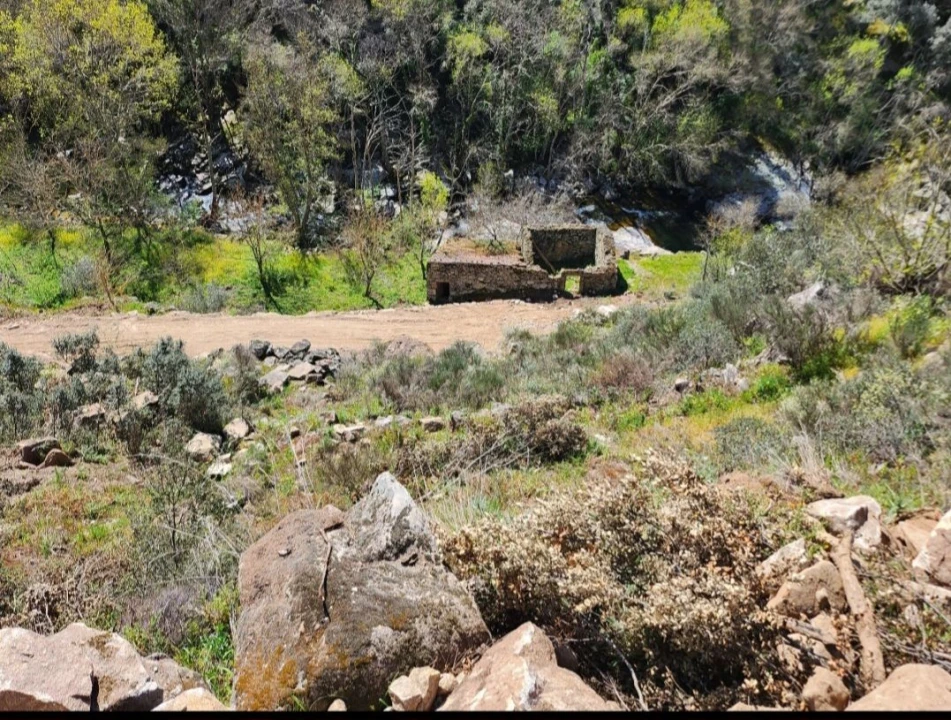 Terreno Misto para Venda em Várzea de Abrunhais Foto 7