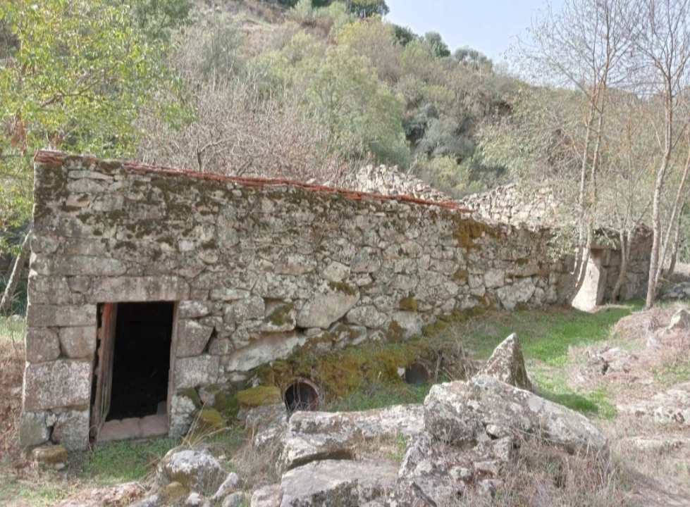 Terreno Misto para Venda em Várzea de Abrunhais Foto 8