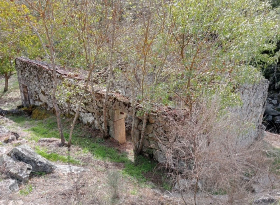 Terreno Misto para Venda em Várzea de Abrunhais Foto 9