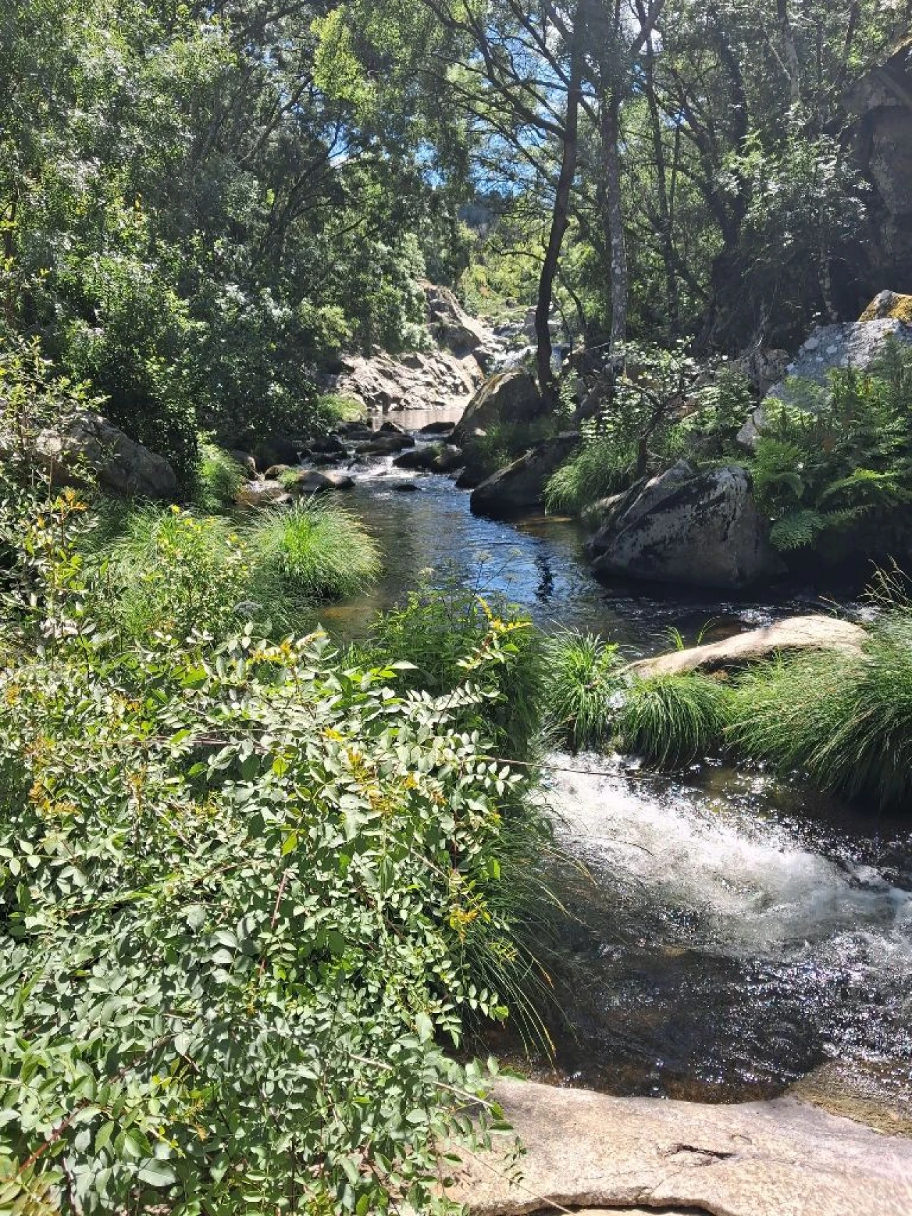 Terreno Misto para Venda em Várzea de Abrunhais Foto 13