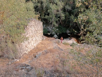 Terreno Misto para Venda em Várzea de Abrunhais