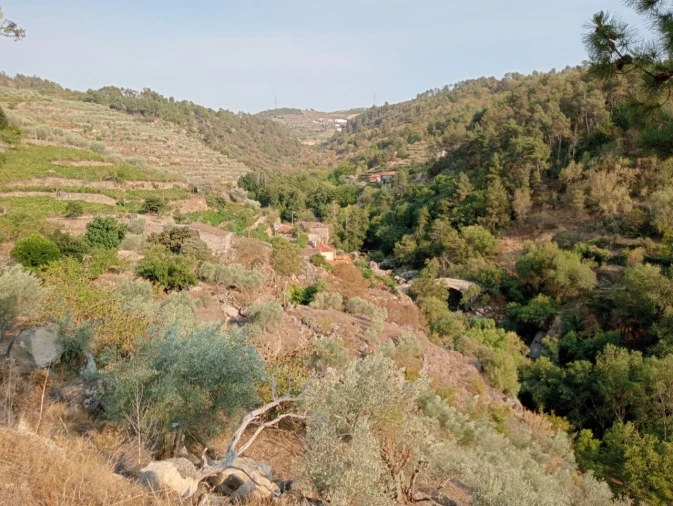 Terreno Misto para Venda em Várzea de Abrunhais Foto 4