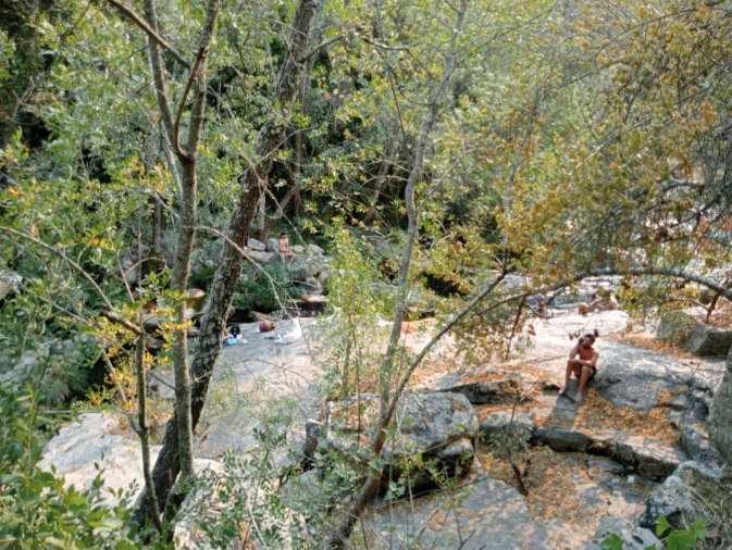 Terreno Misto para Venda em Várzea de Abrunhais Foto 8