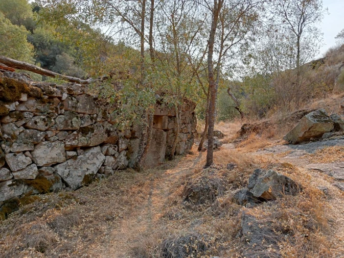 Terreno Misto para Venda em Várzea de Abrunhais Foto 10