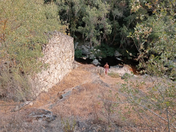 Terreno Misto para Venda em Várzea de Abrunhais Foto 14