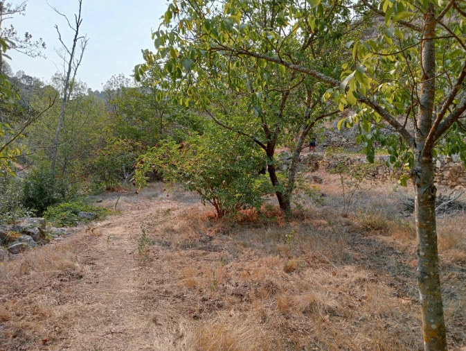 Terreno Misto para Venda em Várzea de Abrunhais Foto 16