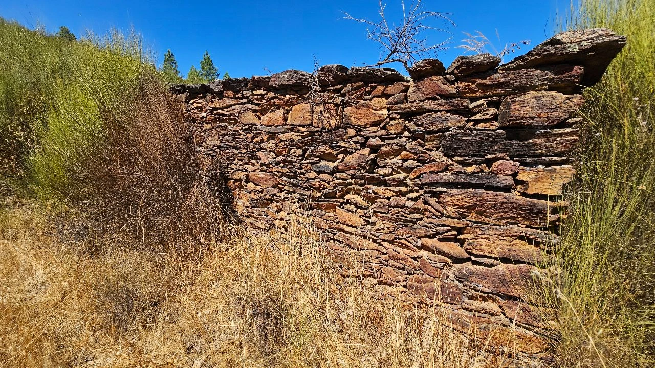 Terreno para Venda em Carvão Foto 16