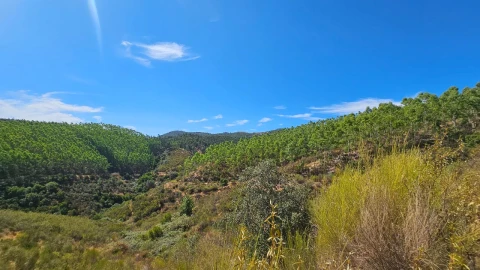 Terreno para Venda em Carvão