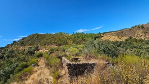 Terreno para Venda em Carvão