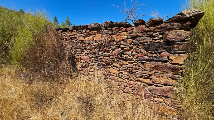 Terreno para Venda em Carvão Foto 16