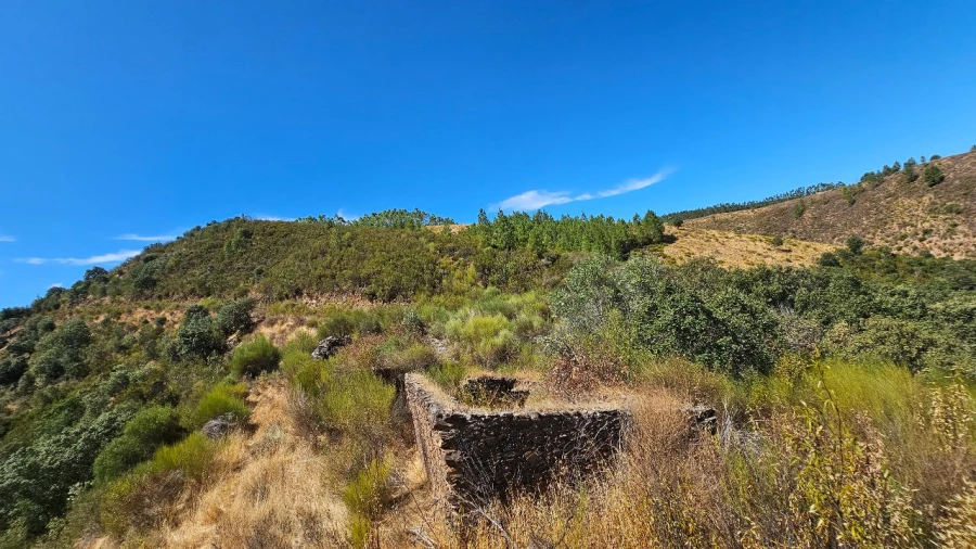 Terreno para Venda em Carvão Foto 15
