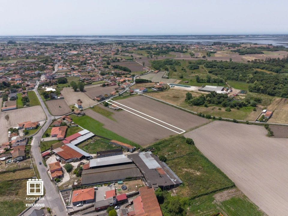Terreno para Venda em Estarreja Foto 11