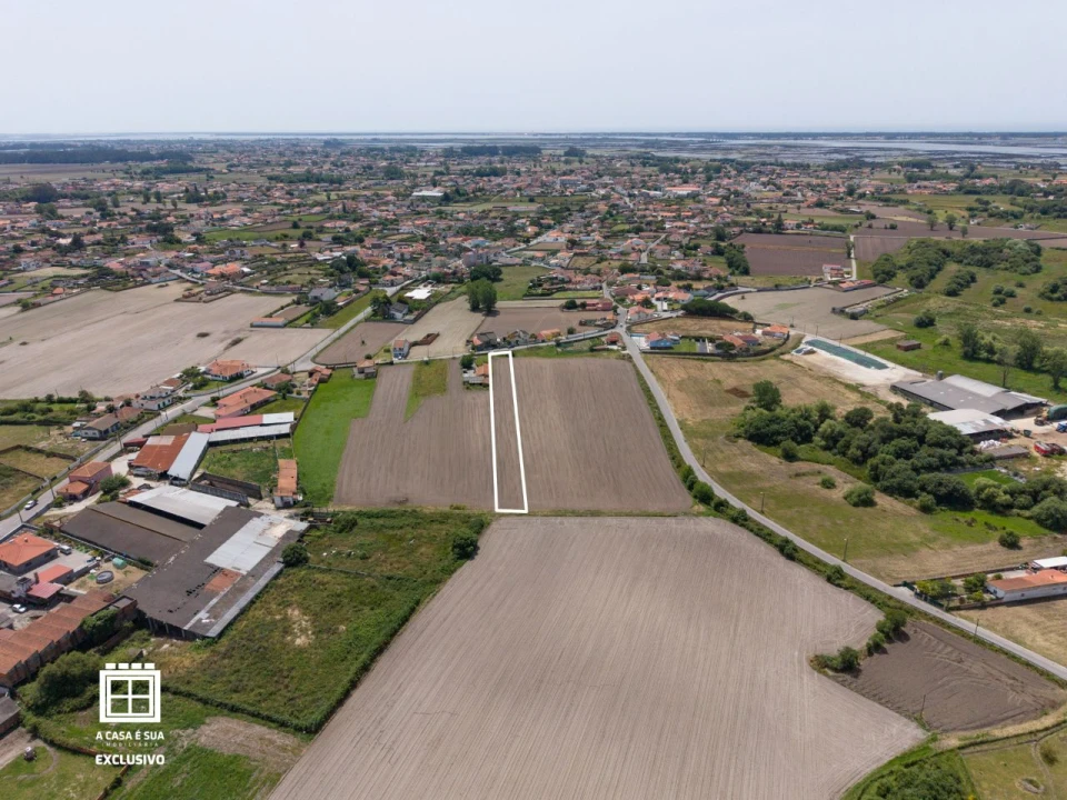 Terreno para Venda em Estarreja Foto 13