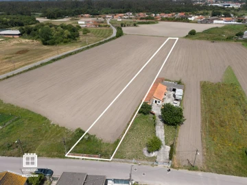 Terreno para Venda em Estarreja