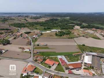 Terreno para Venda em Estarreja