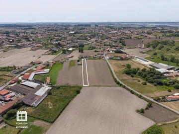 Terreno para Venda em Estarreja