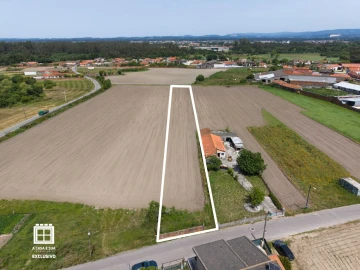 Terreno para Venda em Estarreja