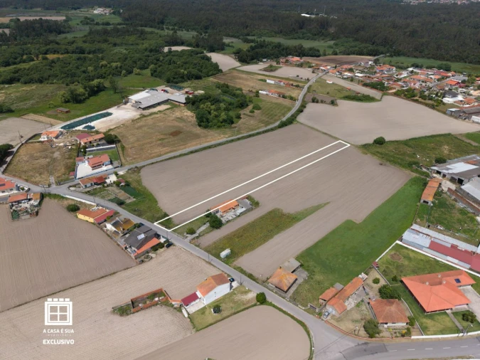 Terreno para Venda em Estarreja Foto 9