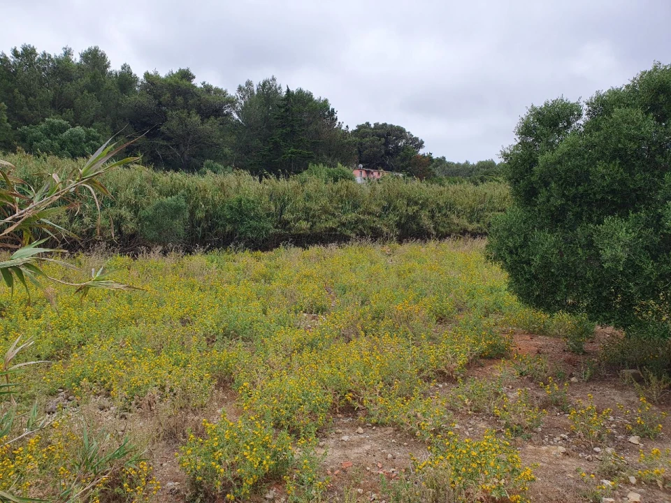 Terreno Misto para Venda em Aldeia de Juzo Foto 4