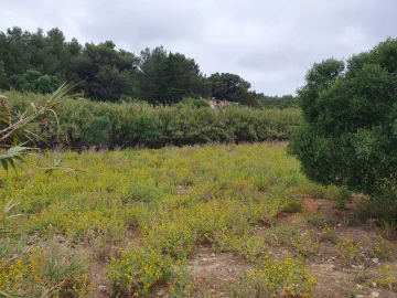 Terreno Misto para Venda em Aldeia de Juzo