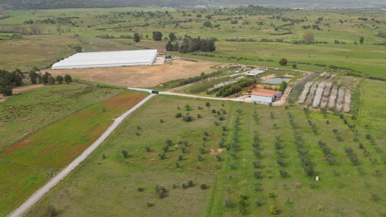 Terreno para Venda em Ladoeiro Foto 10