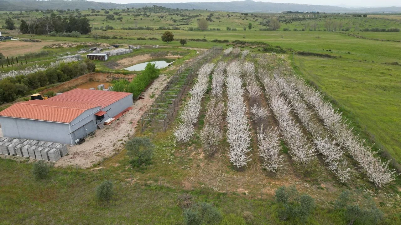 Terreno para Venda em Ladoeiro Foto 17