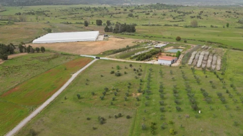Terreno para Venda em Ladoeiro