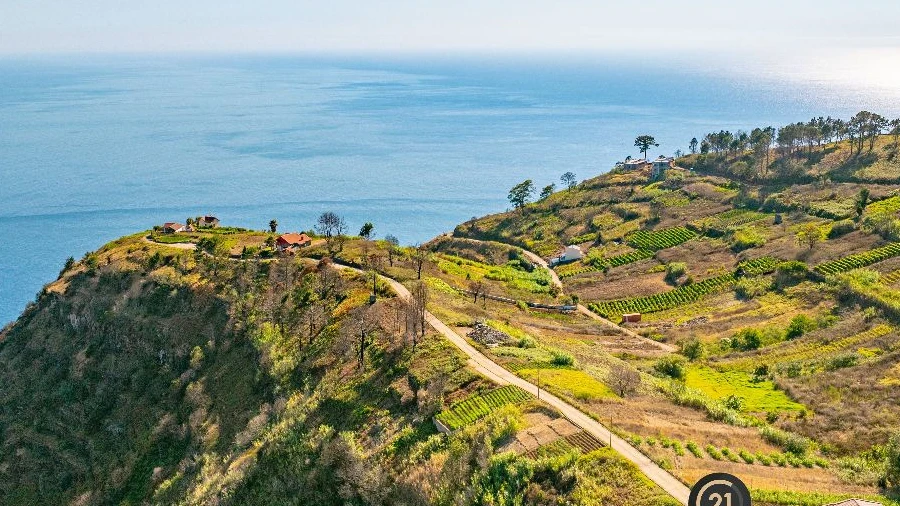 Terreno para Venda em Fajã da Ovelha