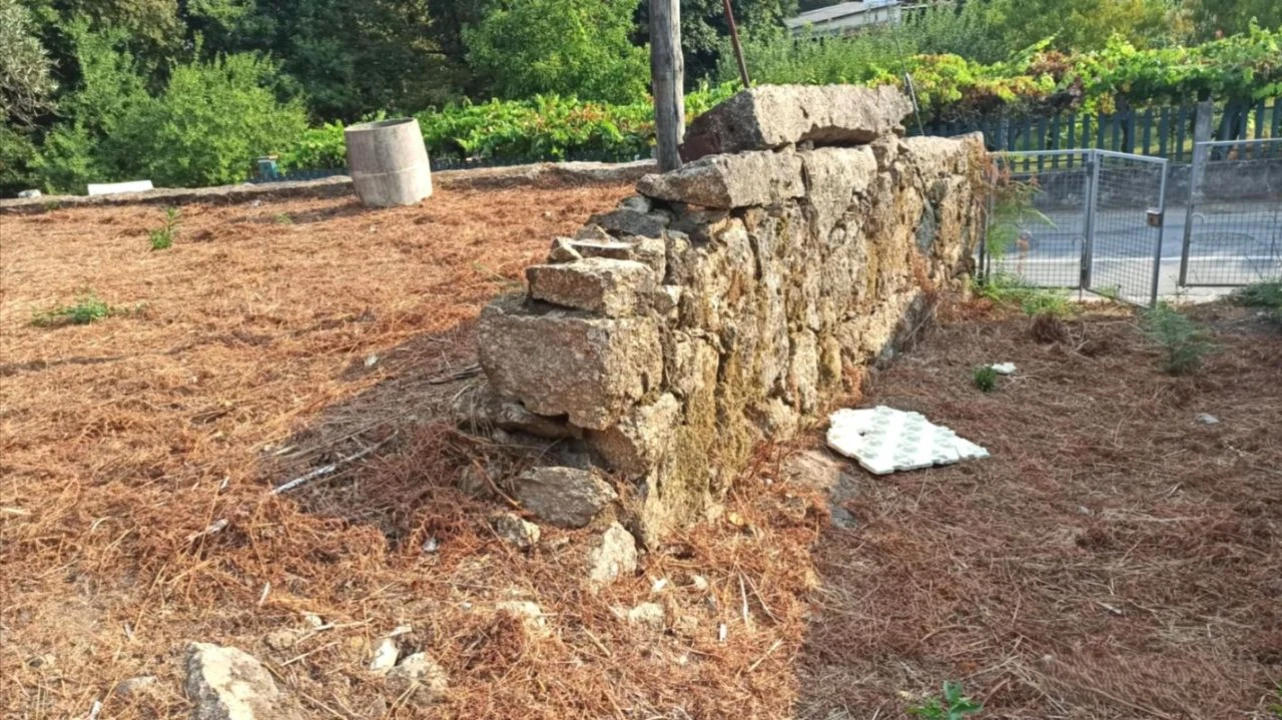 Terreno P/ Prédio para Venda em S. Paio Foto 3