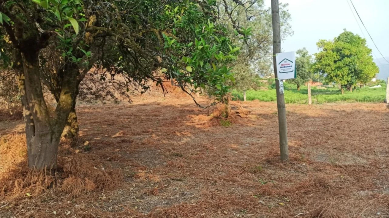 Terreno P/ Prédio para Venda em S. Paio Foto 4