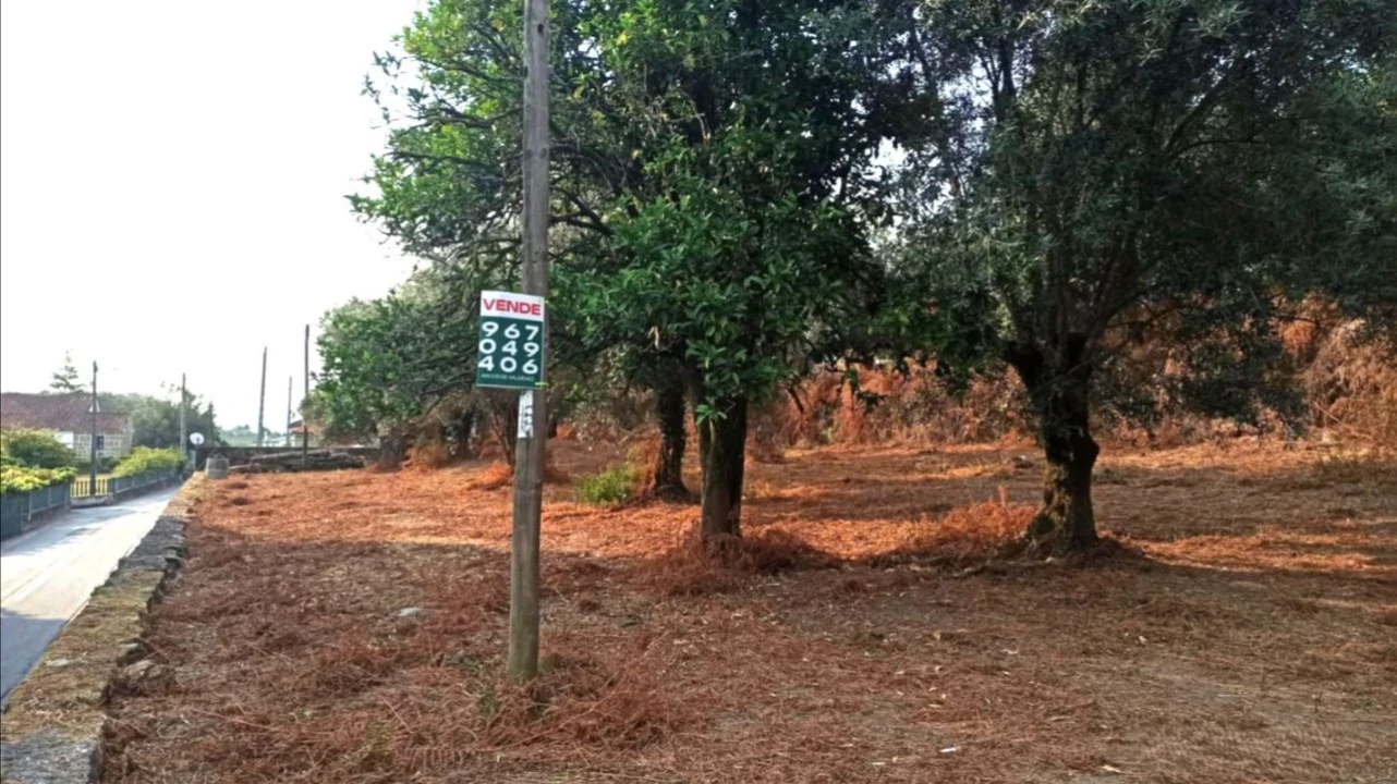 Terreno P/ Prédio para Venda em S. Paio Foto 5