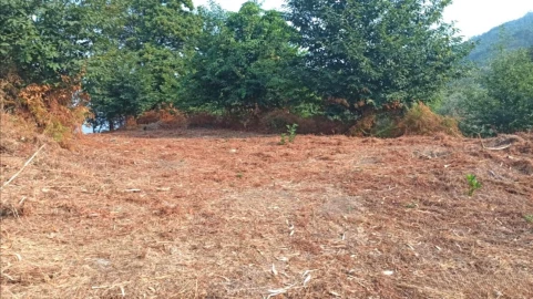 Terreno P/ Prédio para Venda em S. Paio