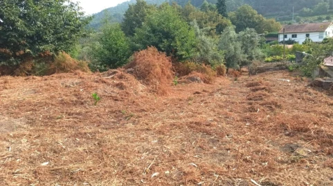 Terreno P/ Prédio para Venda em S. Paio