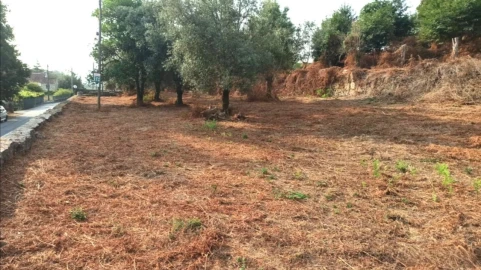 Terreno P/ Prédio para Venda em S. Paio