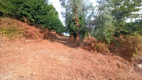 Terreno P/ Prédio para Venda em S. Paio
