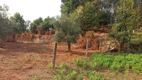 Terreno P/ Prédio para Venda em S. Paio