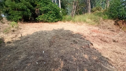 Terreno P/ Prédio para Venda em S. Paio